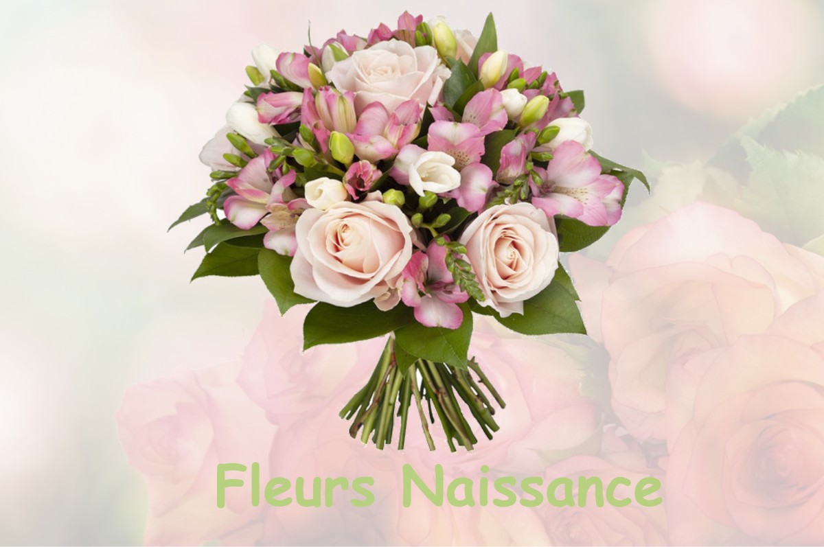 fleurs naissance VAUX-SOUS-AUBIGNY